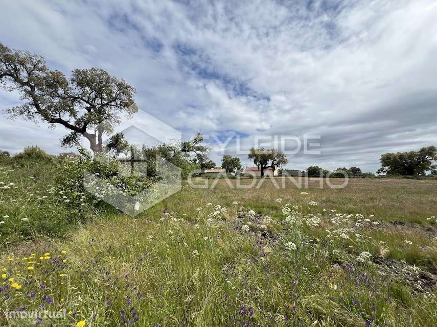 Terreno com casa agrícola para VENDA em São Miguel de Acha-19
