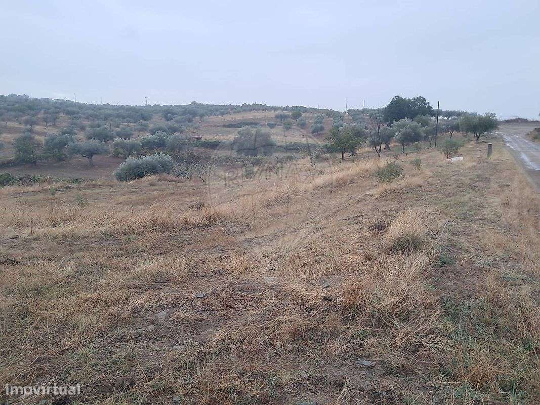 Terreno  para venda - Grande imagem: 4/8