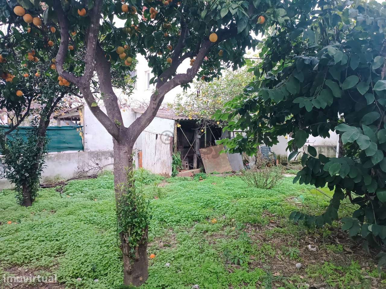 Terreno Urbano de 270m2 com Viabilidade de Construção de 162m2, Vila C-6