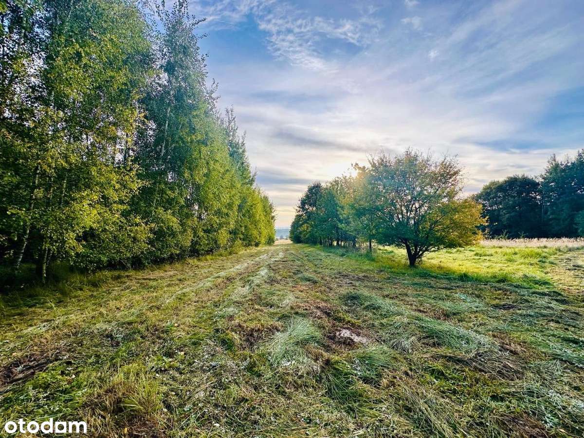 Widok na Górę Ślężę, działka rolna 5200 m2 - Pełny obrazek: 5/8