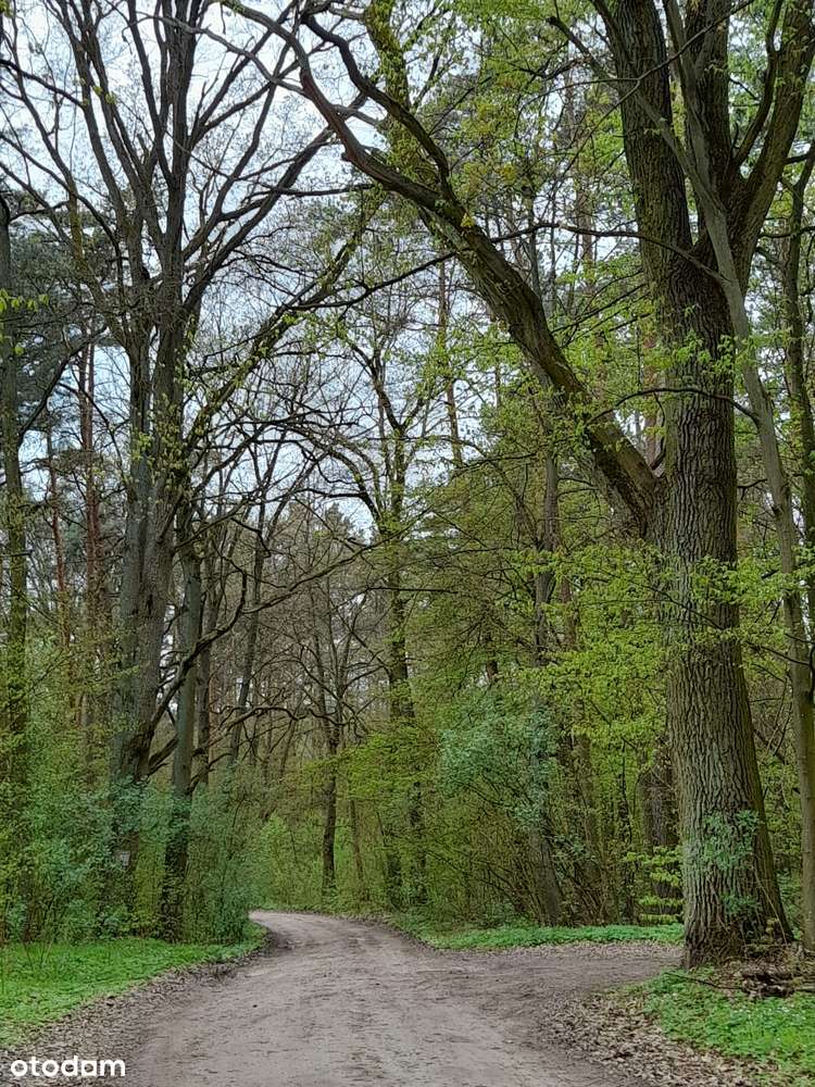Atrakcyjna działka przy lesie-2097m2.BEZPOŚREDNIO! - Pełny obrazek: 5/8