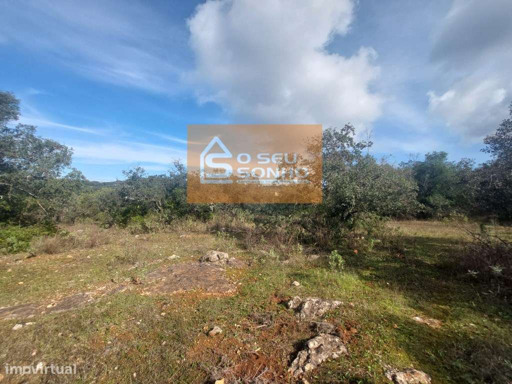 Terreno Rústico com 13.600 m² - Grande imagem: 3/11