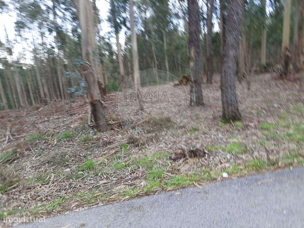 Terreno  para venda - Grande imagem: 2/3