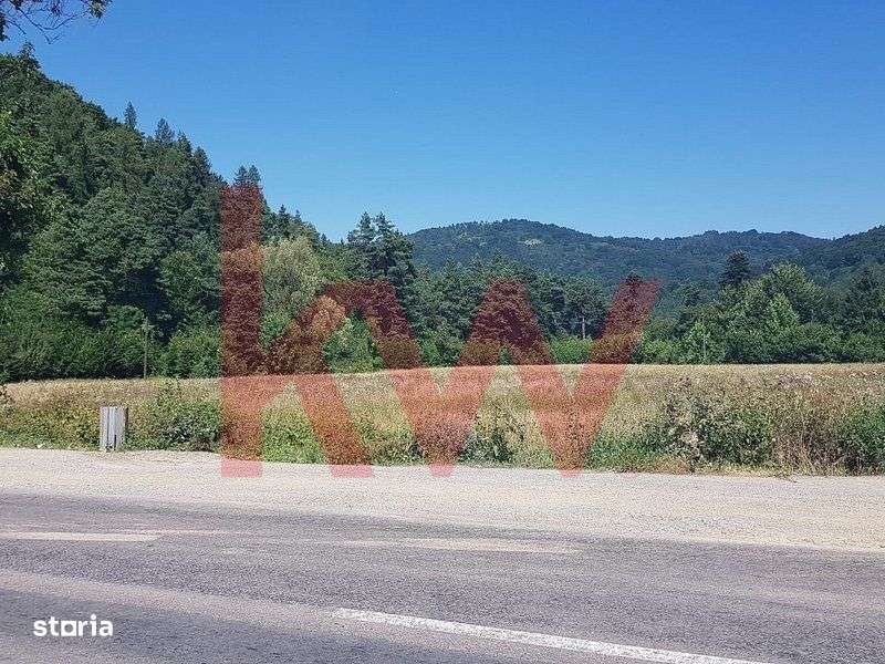 Teren intravilan Sacele - Bradet cu deschidere la DN - Imagine principală: 3/8