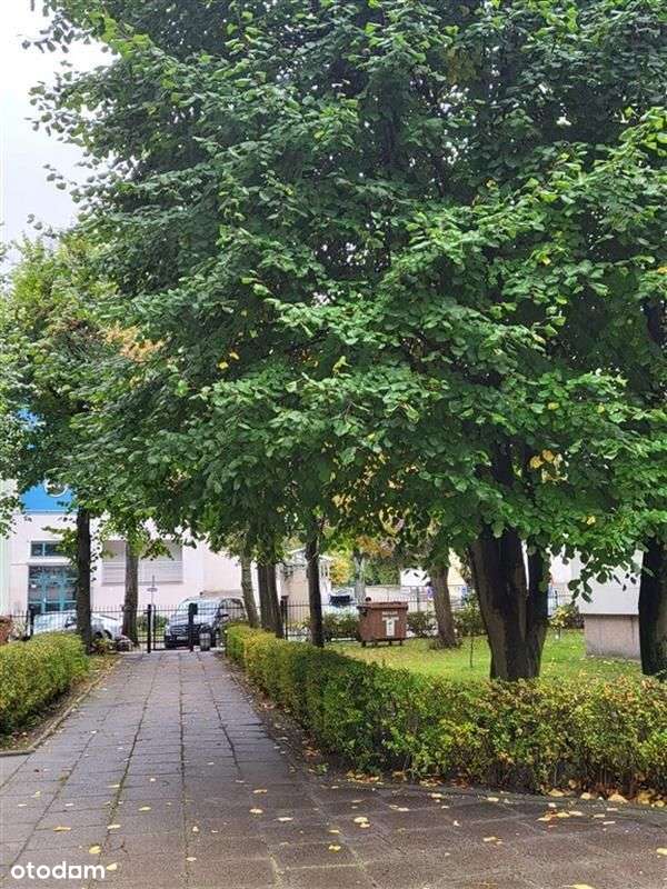 Okazyjna Cena Za Mieszkanie Blisko Morza-6