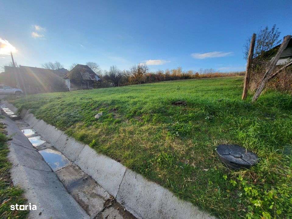 Teren 11.939 mp Balanesti – ideal rezidential/comercial - Imagine principală: 5/7