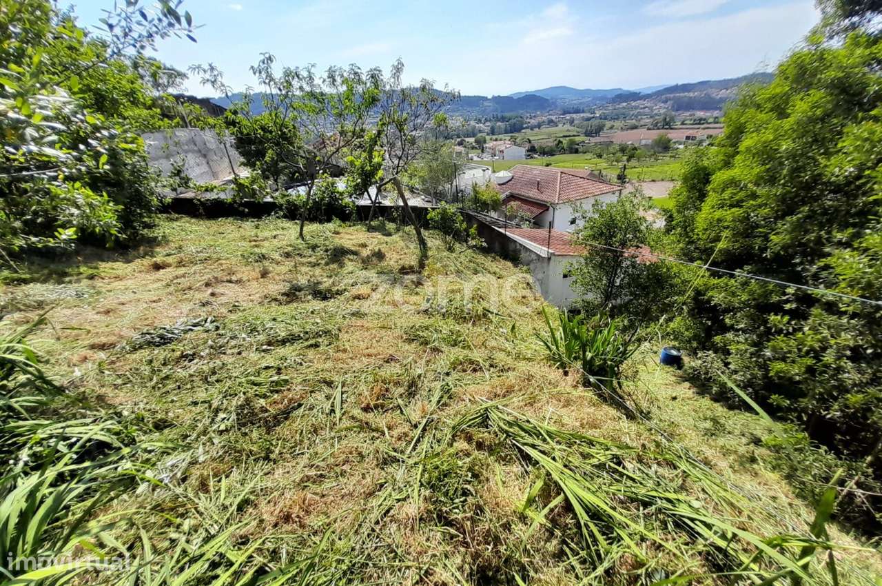 Terreno Urbanizável na Rua do Sá, Esporões-2
