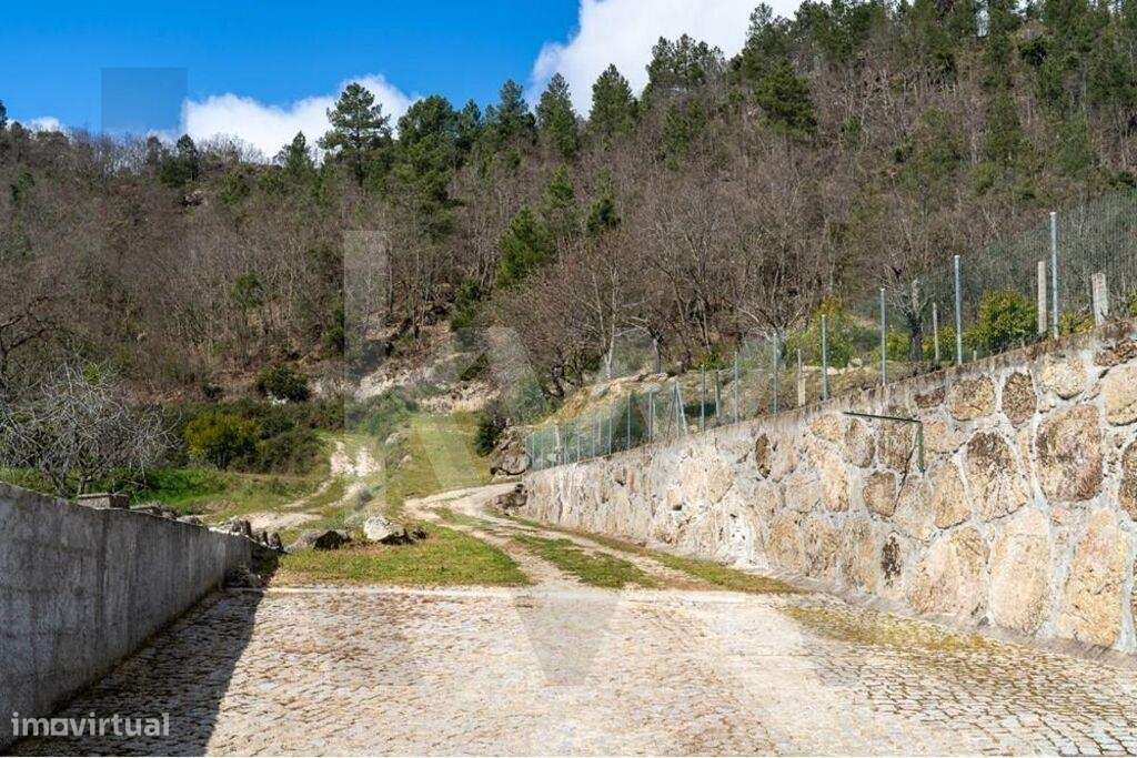 Fantástica Quinta com casa encantadora em Belmonte-49