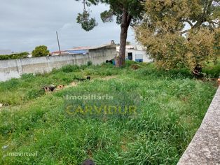 Terreno urbano com 334m2 para construção - Grande imagem: 5/9