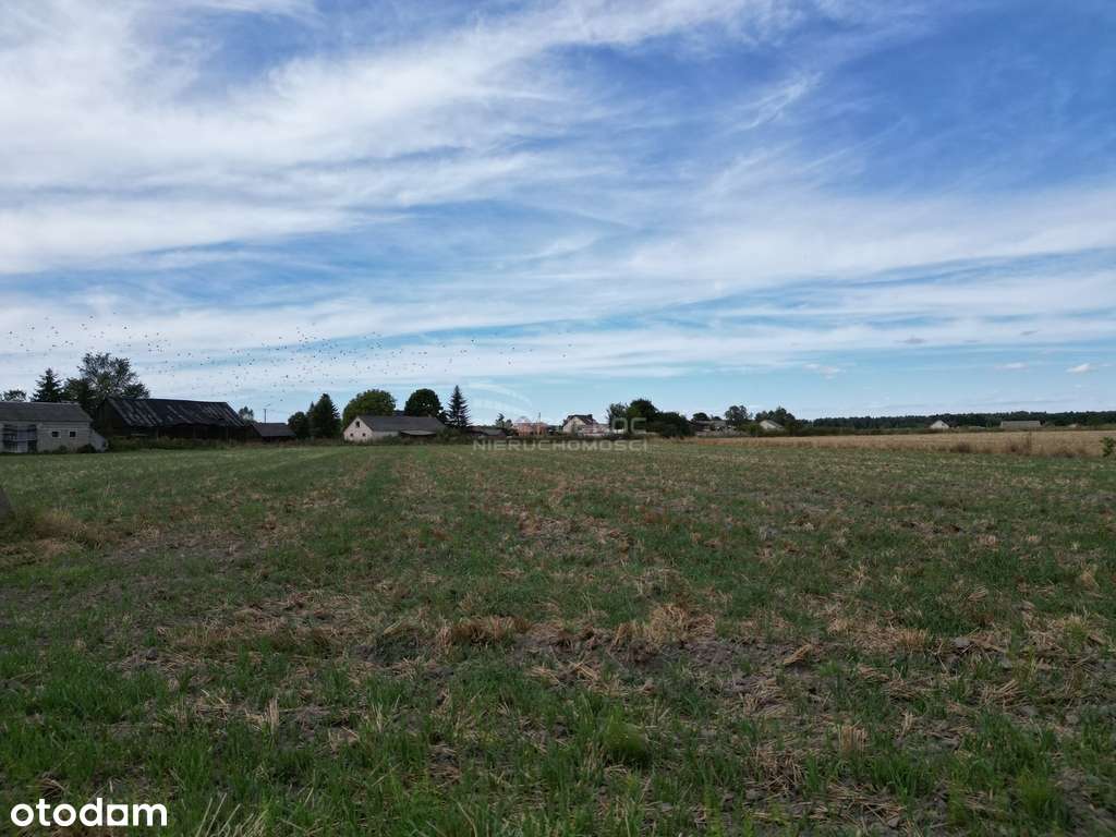 Działka gotowa pod zabudowę Turów k. Kąkolewnicy - Pełny obrazek: 4/7