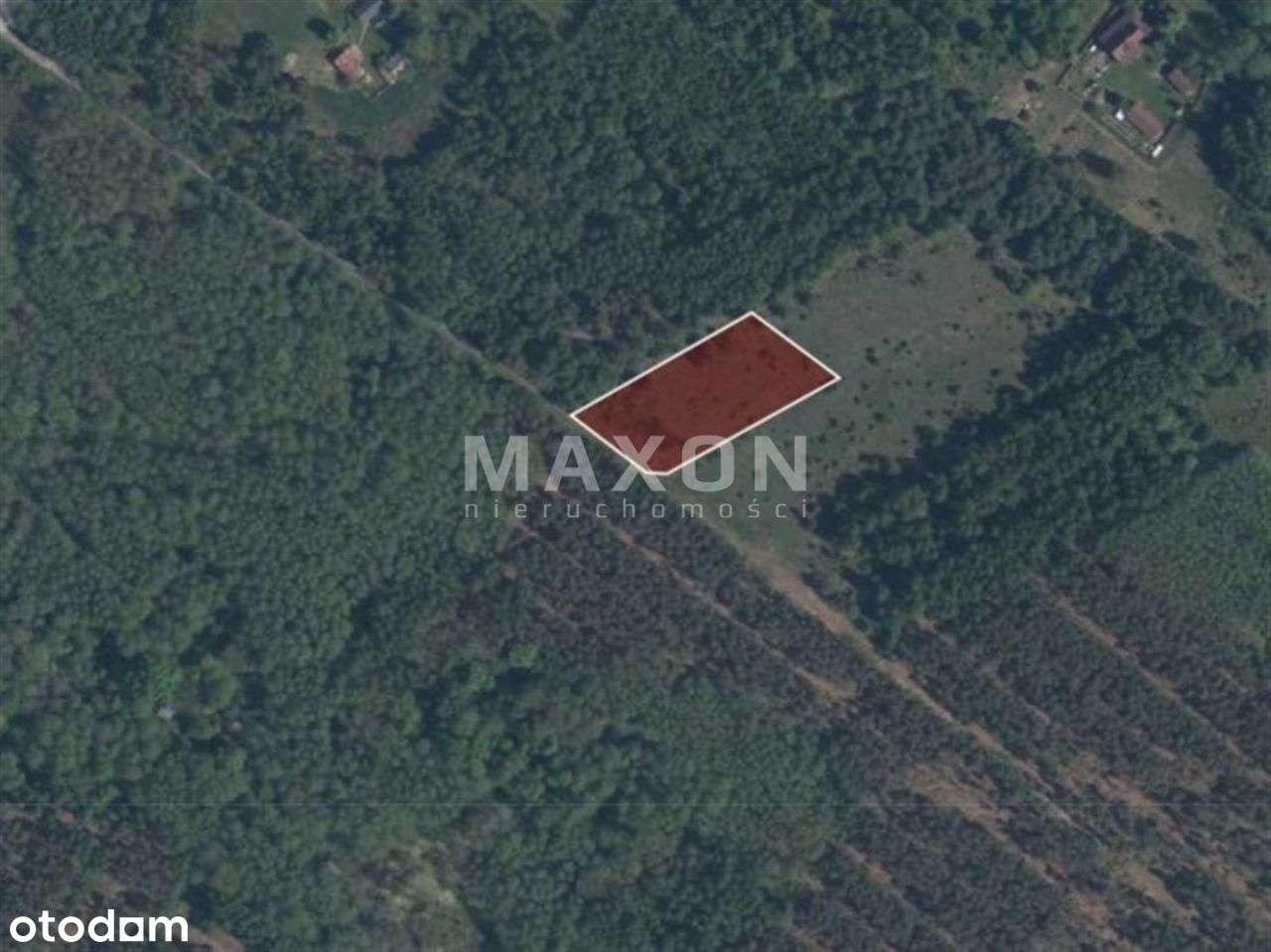 Malownicza działka w otulinie Parku Bolimowskiego - Pełny obrazek: 5/18