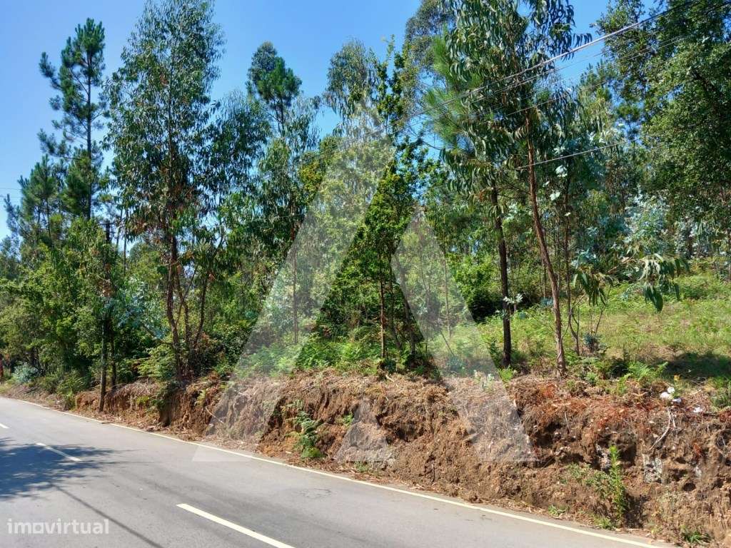 Terreno em Argoncilhe - Santa Maria da Feira - Grande imagem: 2/12