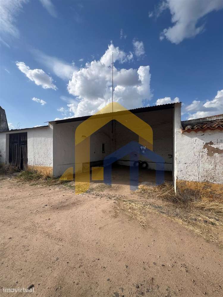 🏡 Quintinha em Monforte-13