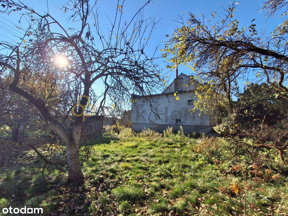 Dom 3 pokoje, ładna działka Dalabuszki k/Gostynia - Pełny obrazek: 3/12