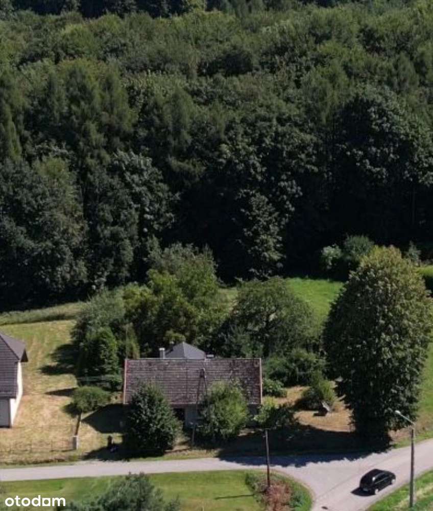 Dom + domek gospodarczy na 17a działce - Widok 4
