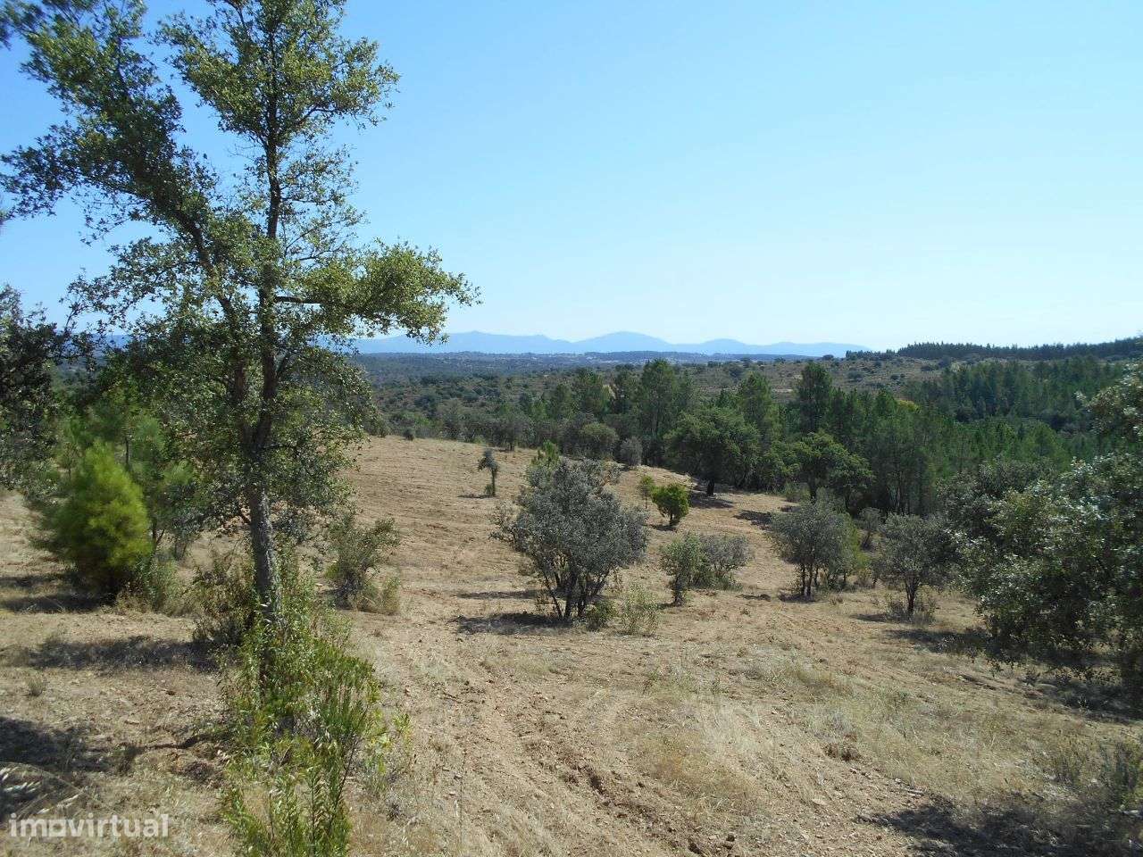 Terreno - Grande imagem: 4/7