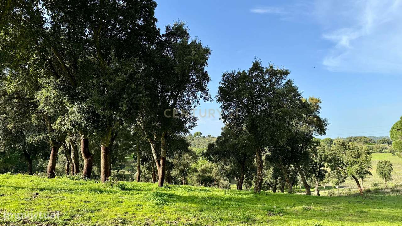 Terreno rústico Malpaga Pequena, Azambuja. Em Venda! - Grande imagem: 4/11