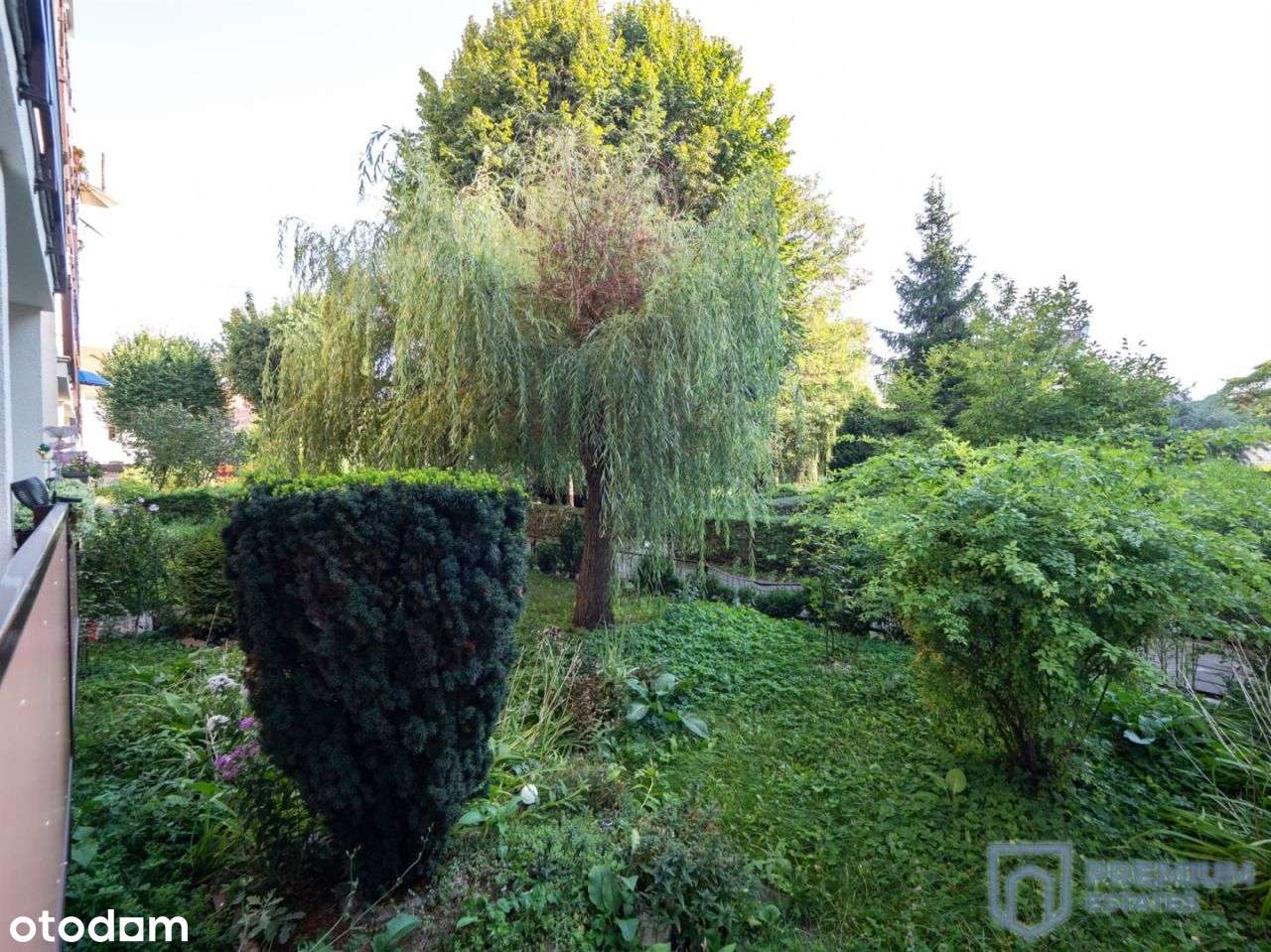 Śródmieście,Rynek,Lompy|3 pok|Po Remoncie|gotowe-5