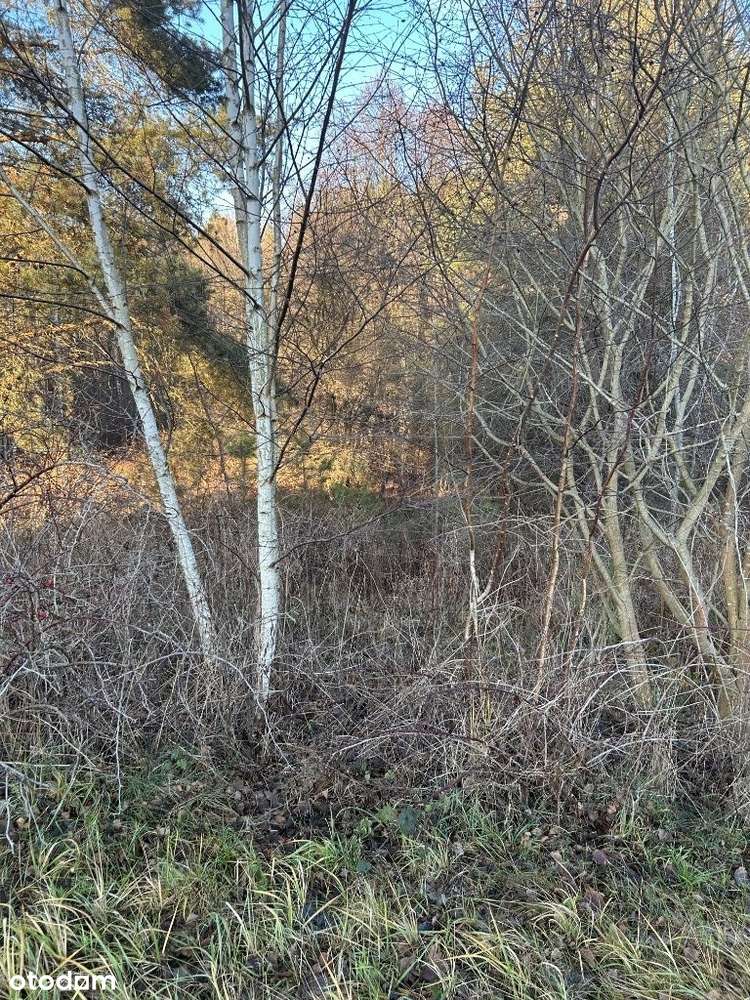 Działki z rzeką, od 50 do 300 m od zalewu bliżyńskiego - Pełny obrazek: 3/17