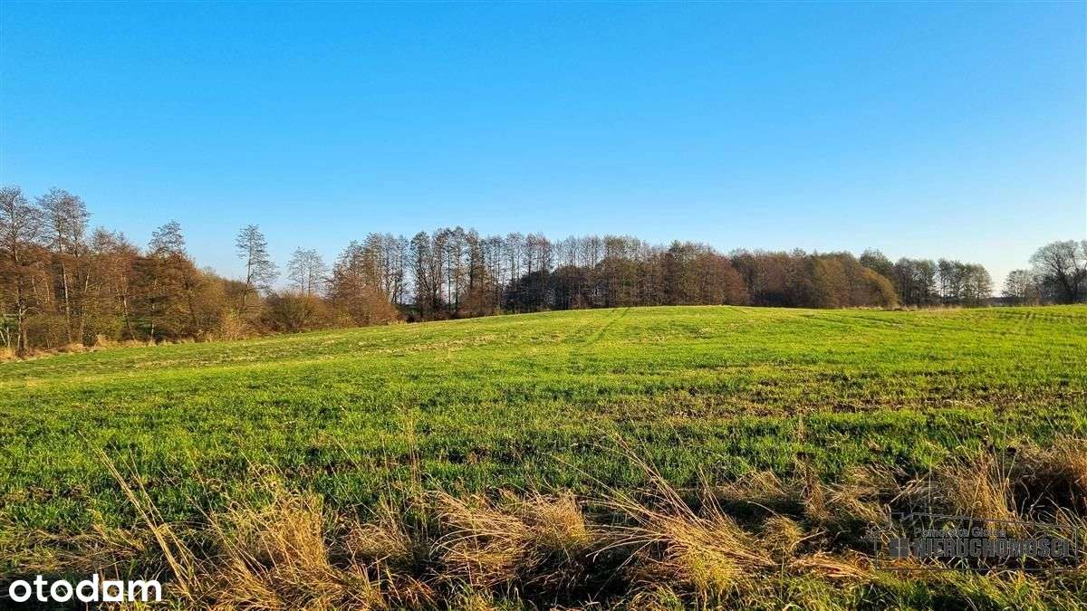 Parsęcko – działka 1,3 ha z możliwością siedliska.-9