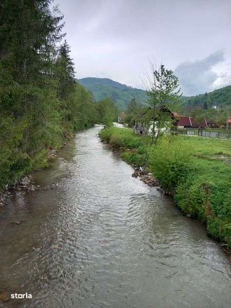 Teren-5000 mp pe drumul spre Muntele Gaina - Imagine principală: 4/7