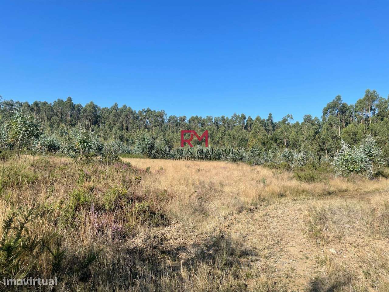 TERRENO COM 13.500M2 PARA CONSTRUÇÃO - LAGUEIRÕES, VALONGO - Grande imagem: 5/20
