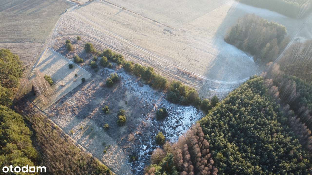 Działka rolna przy lesie  9893 m², Postolin k. Milicza-5