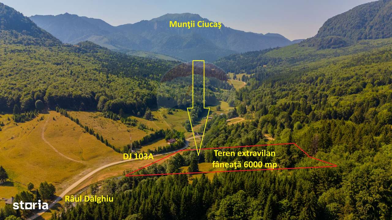 Teren 6000 mp, Vama Buzaului - vedere către Ciucaș - Imagine principală: 3/18