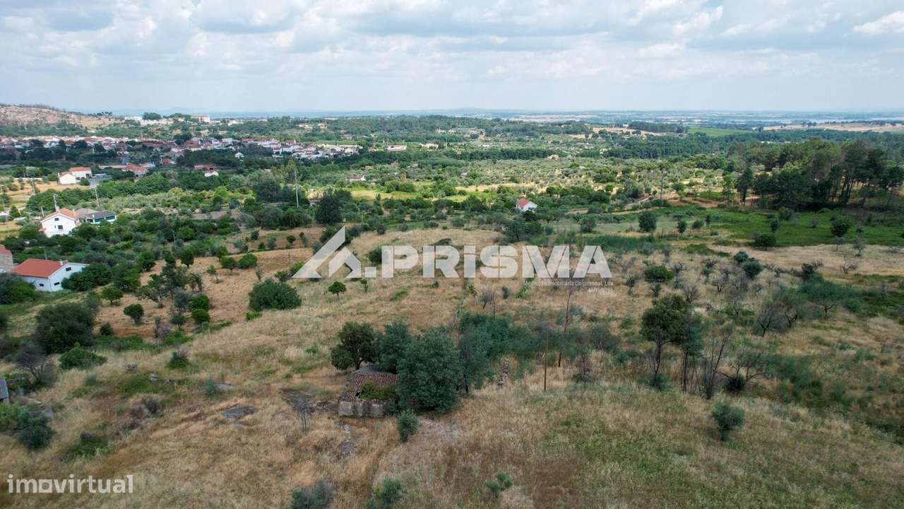 Quintinha para venda em Louriçal do Campo, Castelo Branco-8