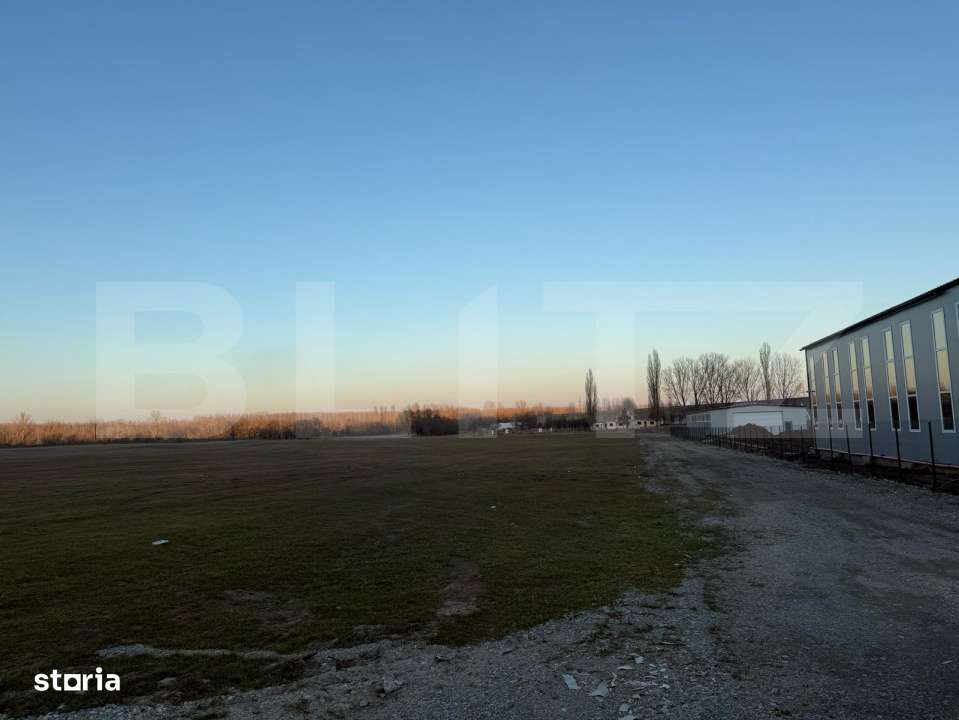 Teren intravilan industrial, 4307 mp, Podari - Imagine principală: 3/3