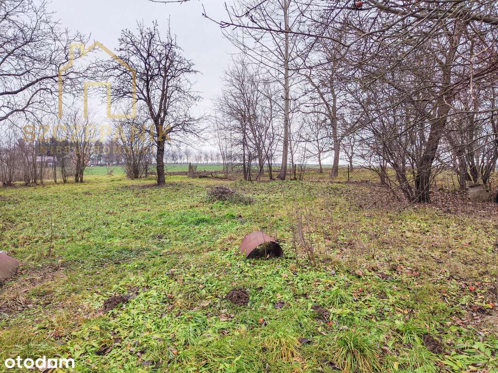 Urokliwy dom drewniany ze stodołą i działką 27 a - Pełny obrazek: 5/20