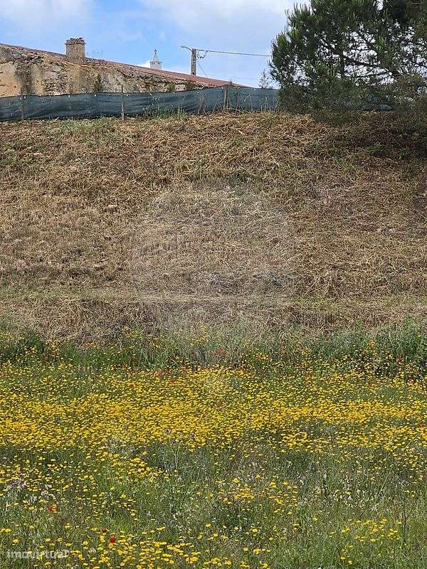 Terreno  para venda-2