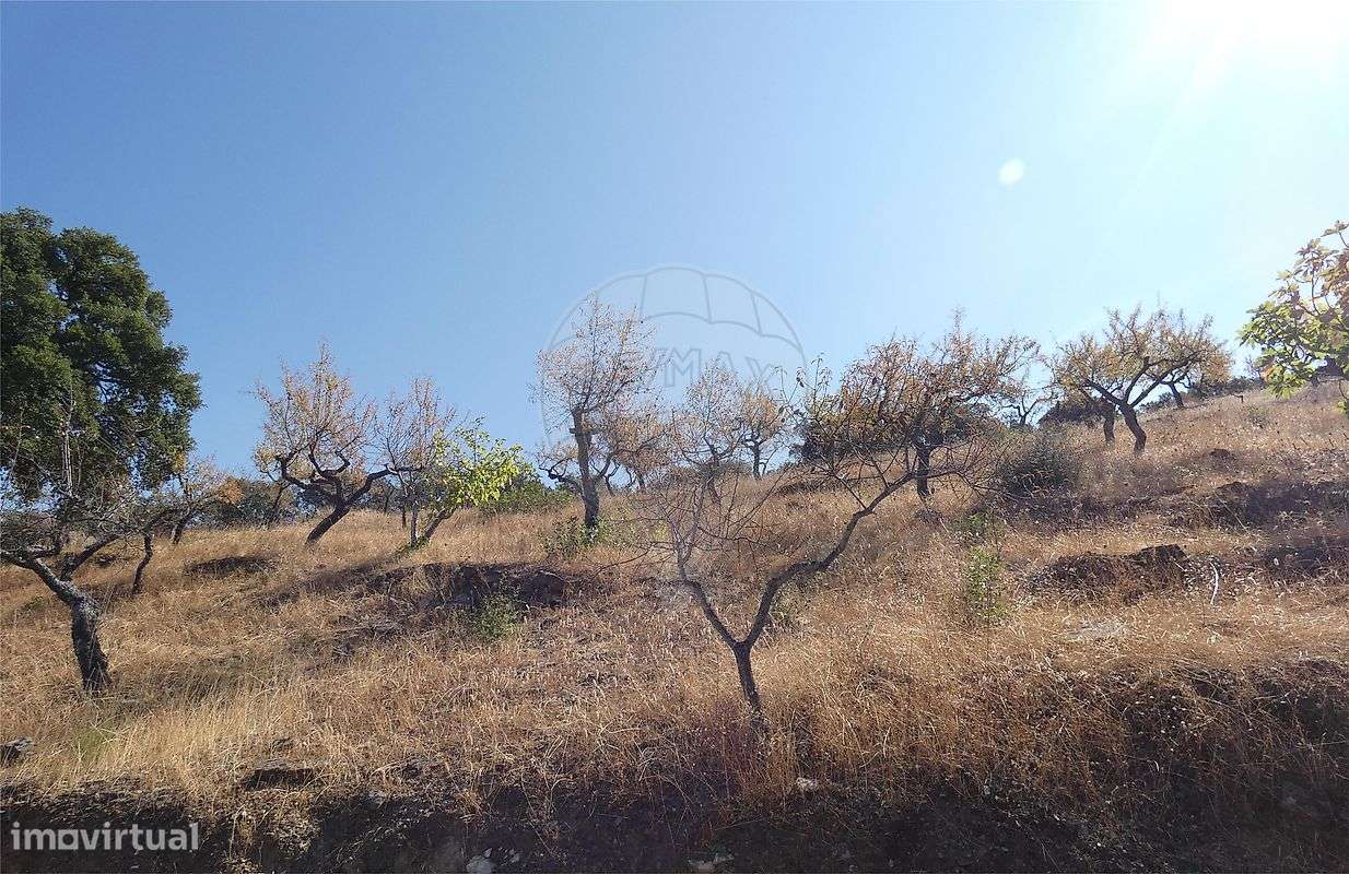 Terreno  para venda - Grande imagem: 4/14