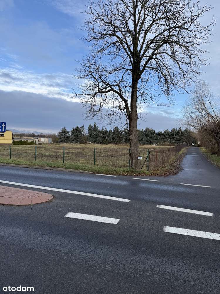 Chyby,  działka mieszkaniowo-usługowa - Pełny obrazek: 4/10