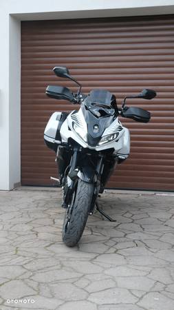 Triumph Tiger - 4