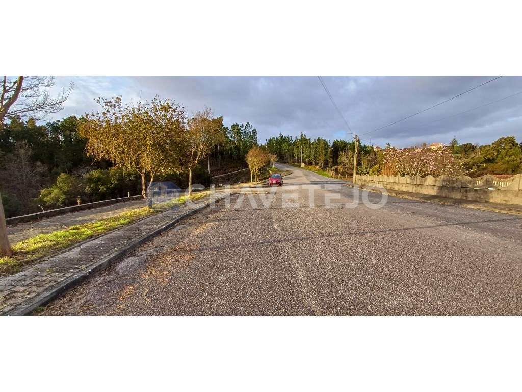 Lote de terreno para construção em zona tranquila em Cernache do Bo... - Grande imagem: 4/11