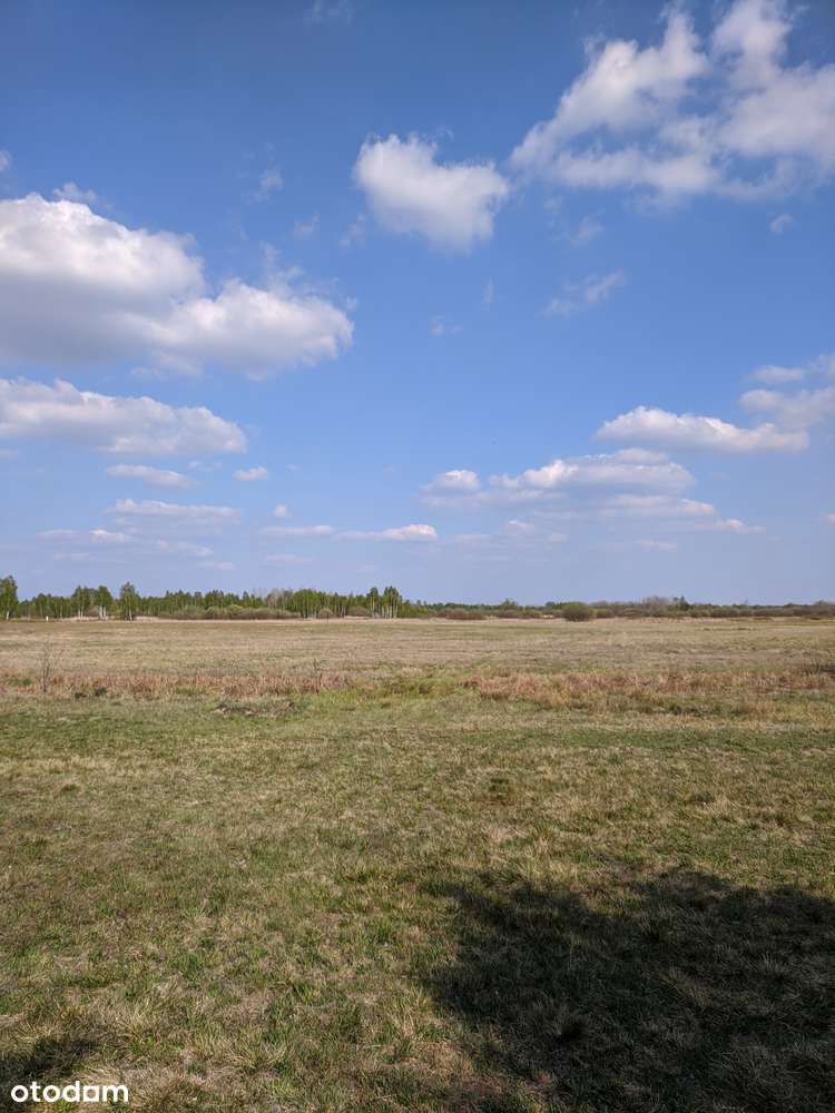 Dzialka z rozpoczętą budową na terenie Kampinowskiego Parku Narodowego - Pełny obrazek: 4/6