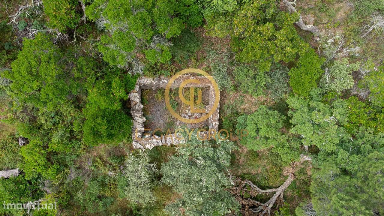 Quinta de 6 hectares perto de São Martinho das Amoreiras-9