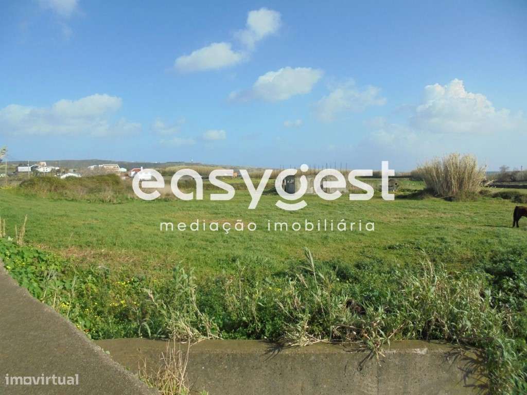 Terreno no Belo Jardim - Praia da Vitoria 5 Alqueires - Boa vista - Grande imagem: 3/7