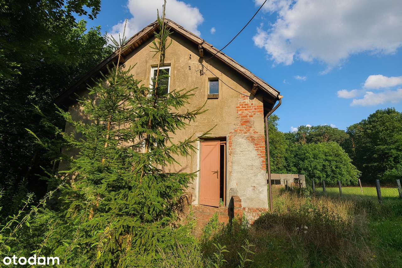 Twój azyl pod lasem – UNIKALNA działka z potencjałem w Wierzonce-7