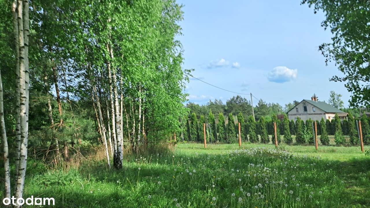 Omin. Urokliwa działka blisko jeziora koło Grunwaldu. - Pełny obrazek: 5/7