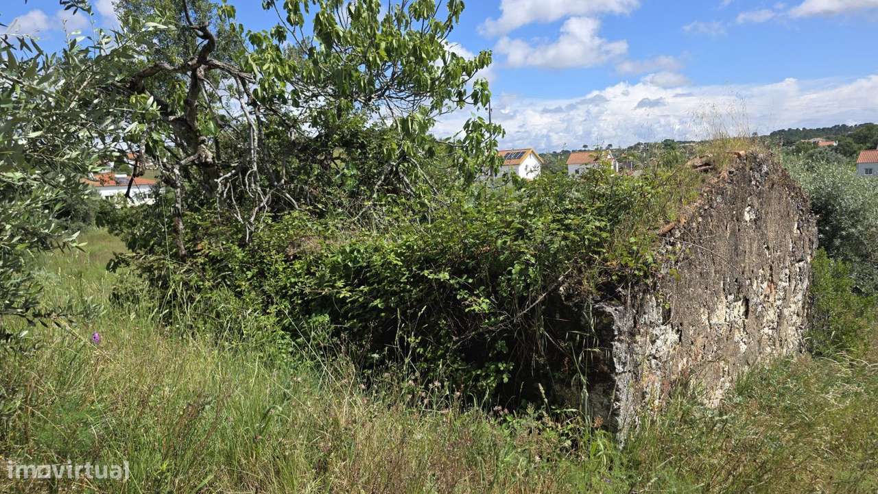 Excelente Terreno para Moradia a 5 kms de Tomar-7