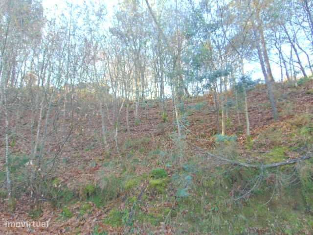 Venda de terreno Gerês perfeito para quem procura paz e tranquilidade. - Grande imagem: 5/7