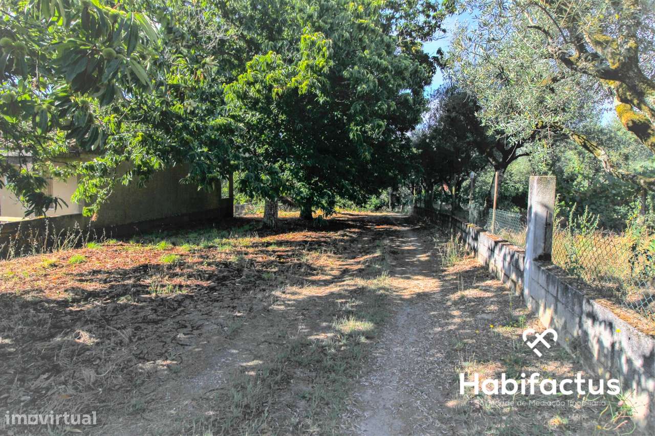 Terreno com viabilidade construtiva em Santar - Grande imagem: 2/7