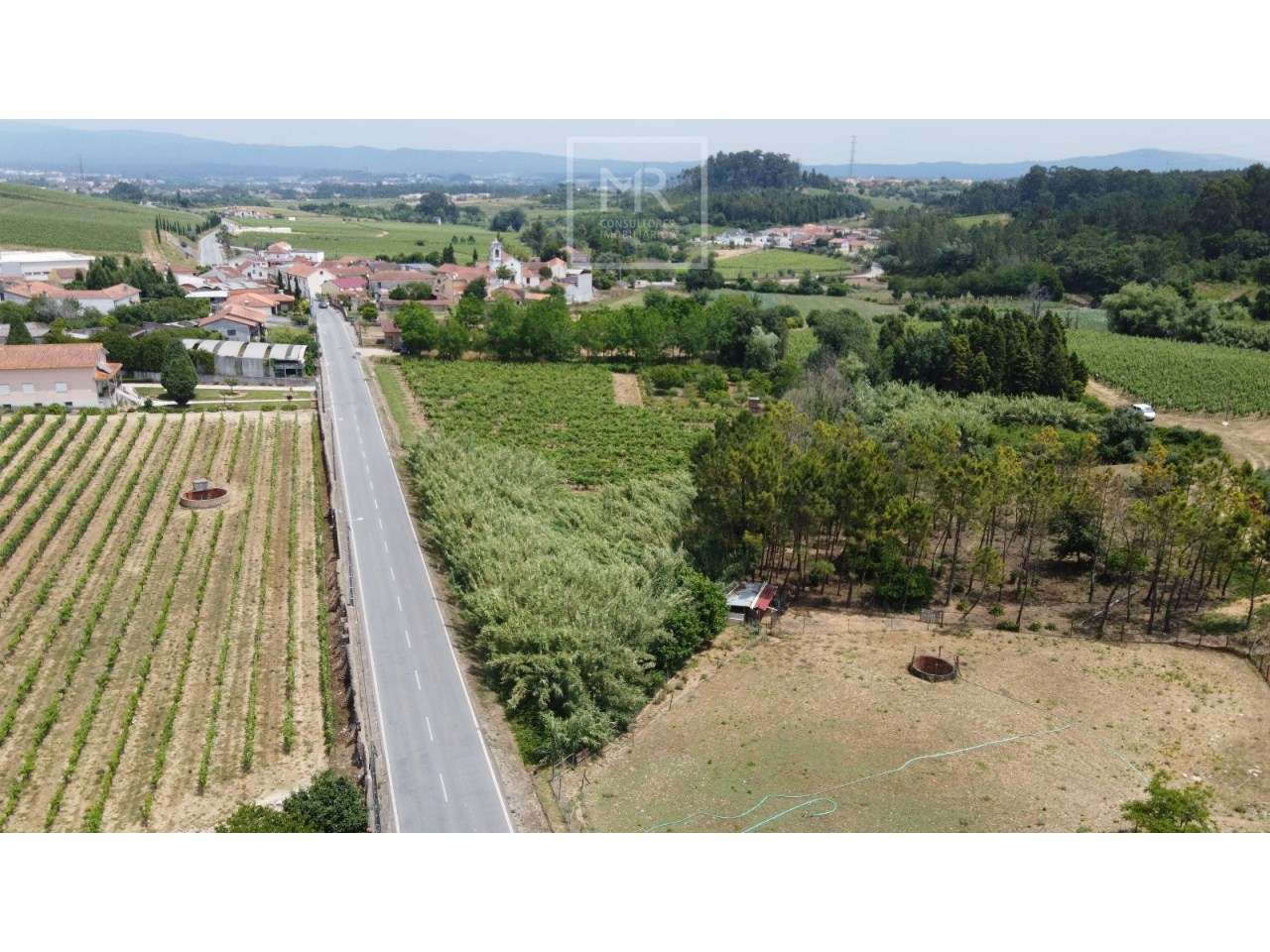 Terreno  Venda em São Lourenço do Bairro,Anadia - Grande imagem: 4/4