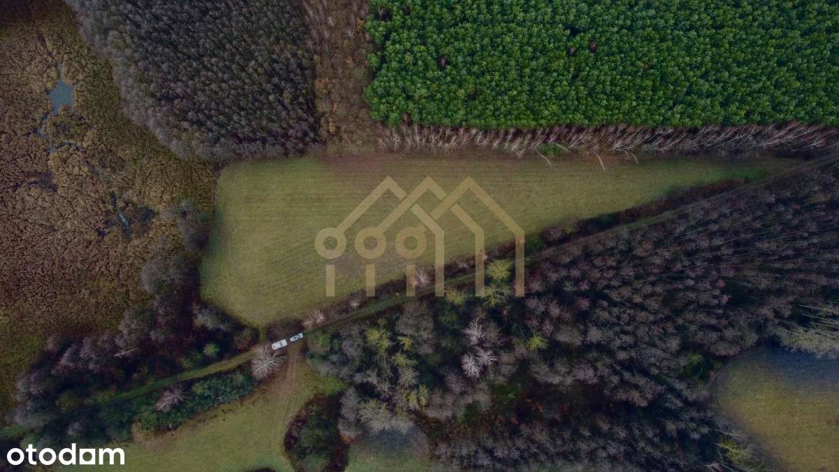 Obręb Pułtusk | 1,11 Ha idealna działka i las - Pełny obrazek: 4/13