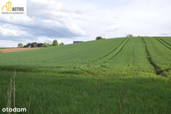 Nieruchomość 1,32 ha Stręgoborzyce-8