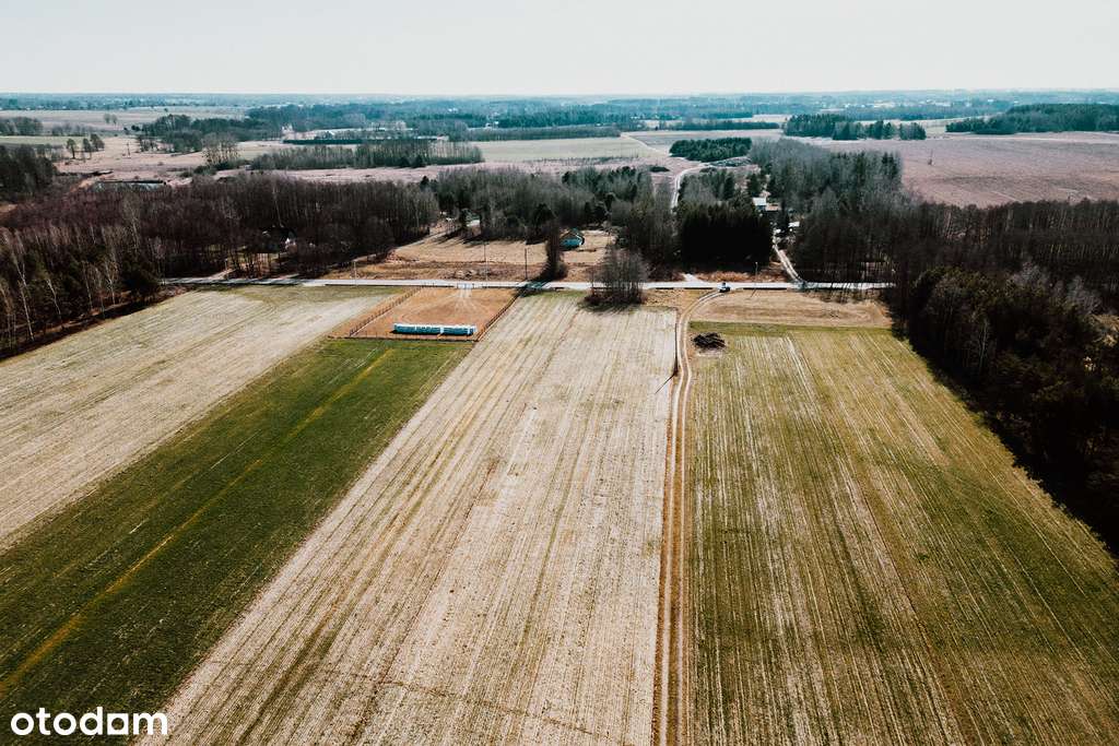 Sprzedam 11 działek  w Myśliszewicach. - Pełny obrazek: 5/11