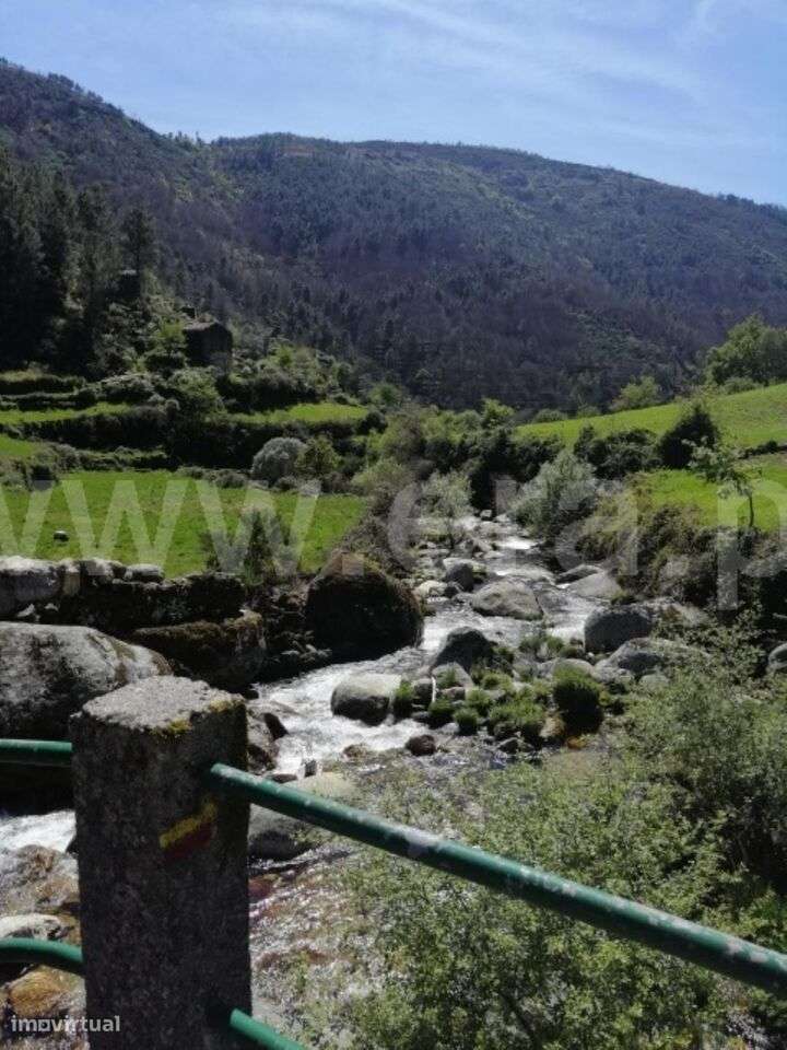 Quinta / Seia, Loriga - Grande imagem: 5/20