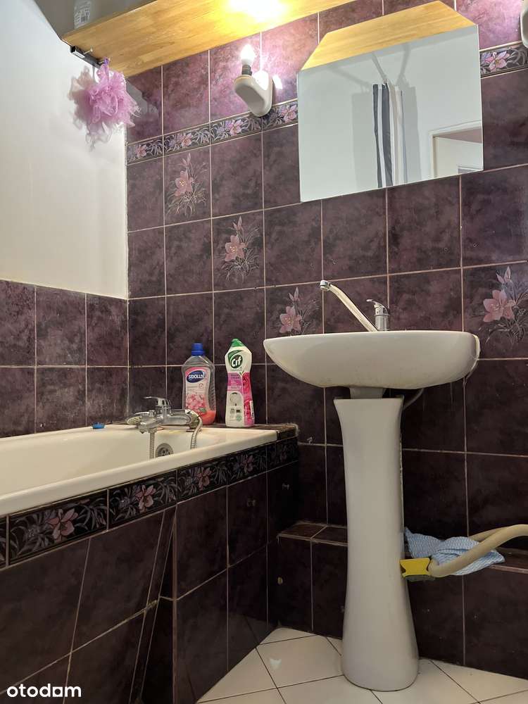 DO WYNAJĘCIA DUŻY POKÓJ PRZY UL. JABŁECZNEJ WE WROCŁAWIU (CENTRUM) - Pełny obrazek: 5/7